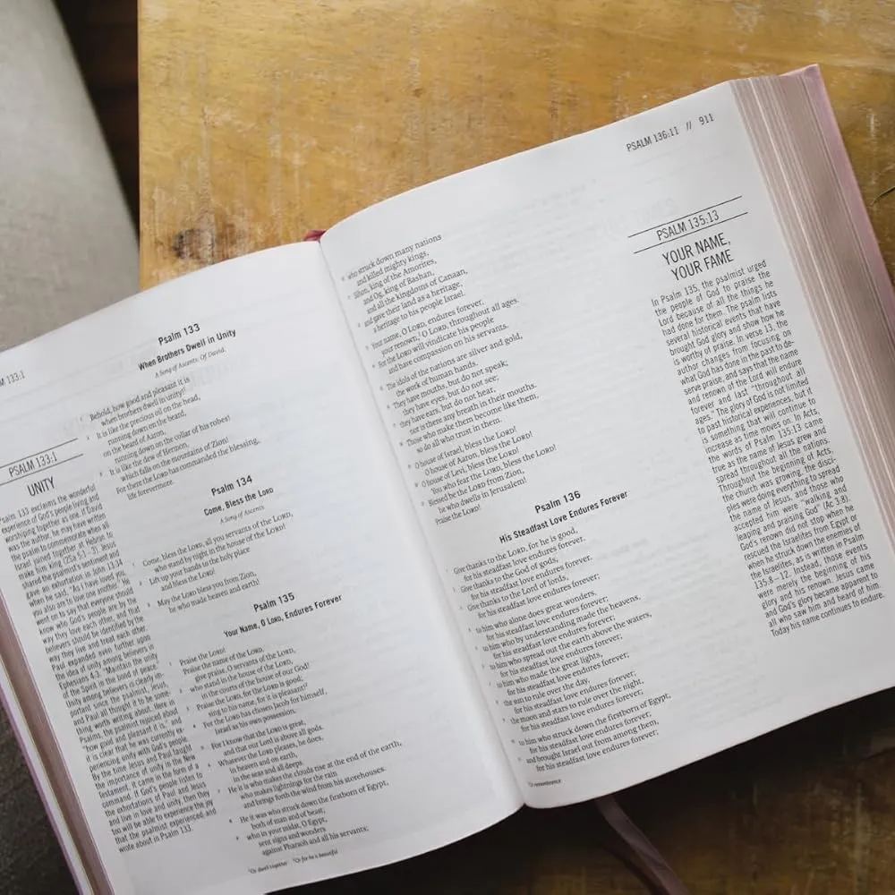 The Jesus Bible, NIV Edition