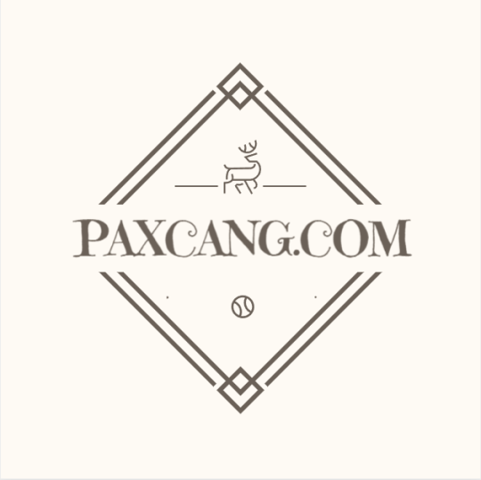 The Black History Book: Big Ideas Simply Explained – paxcang