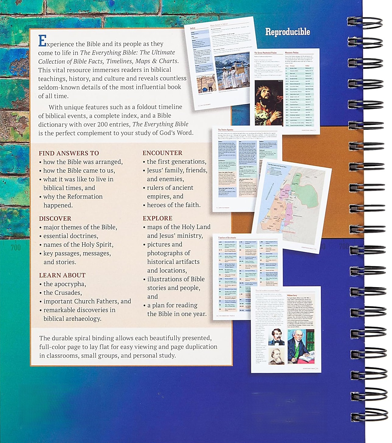 The Everything Bible: The Ultimate Collection of Bible Facts, Timelines, Maps, and Charts