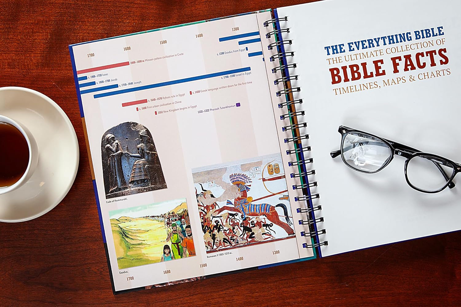 The Everything Bible: The Ultimate Collection of Bible Facts, Timelines, Maps, and Charts