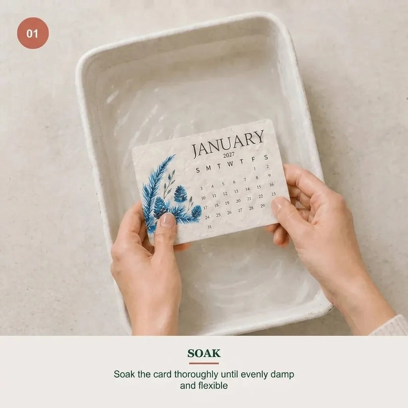 🌱 2027 Seed Paper Calendar – Grow a Garden Month by Month, A Gift of Hope & Sustainability
