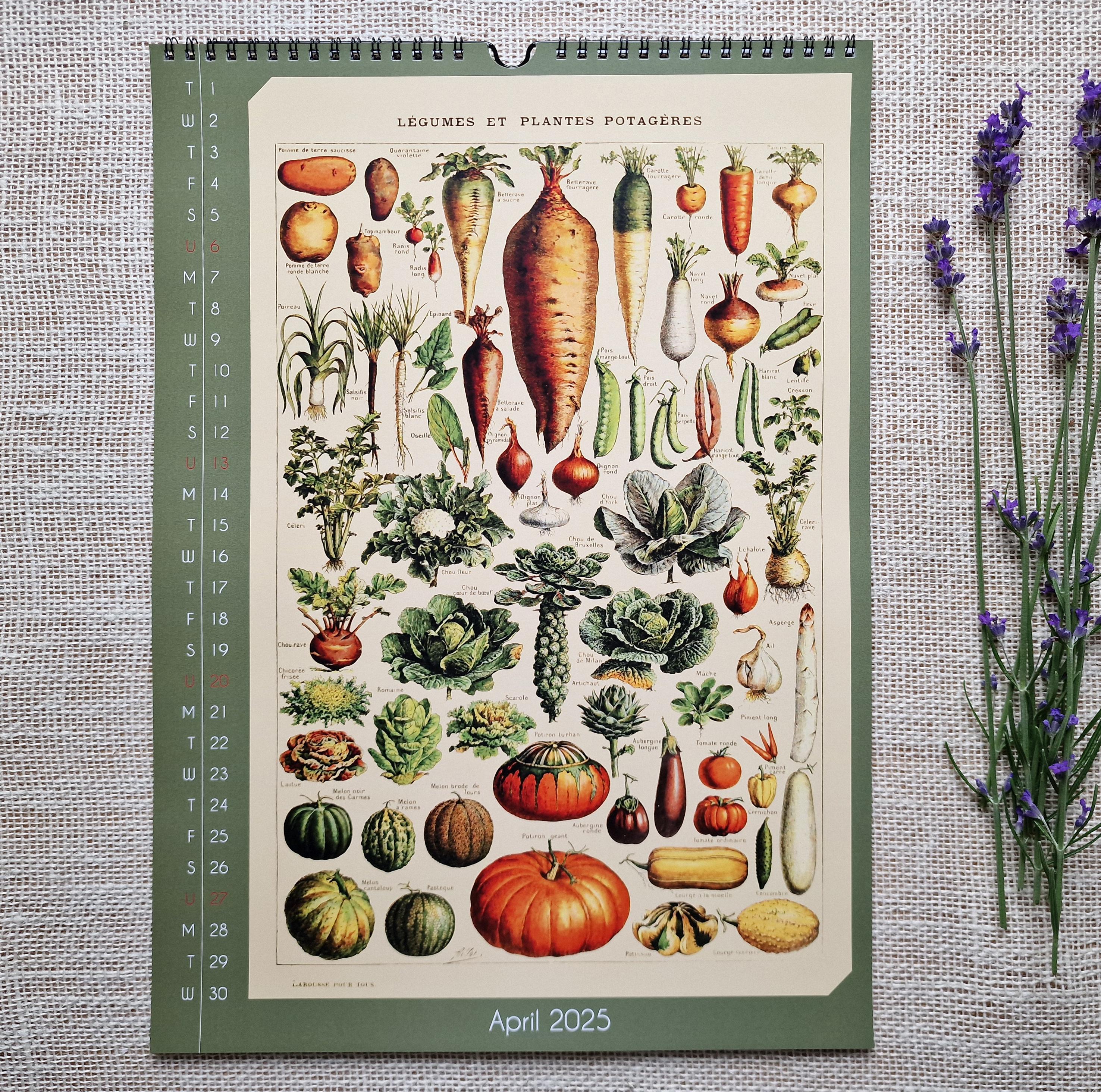 📅2025 Calendar Floral and Botanical