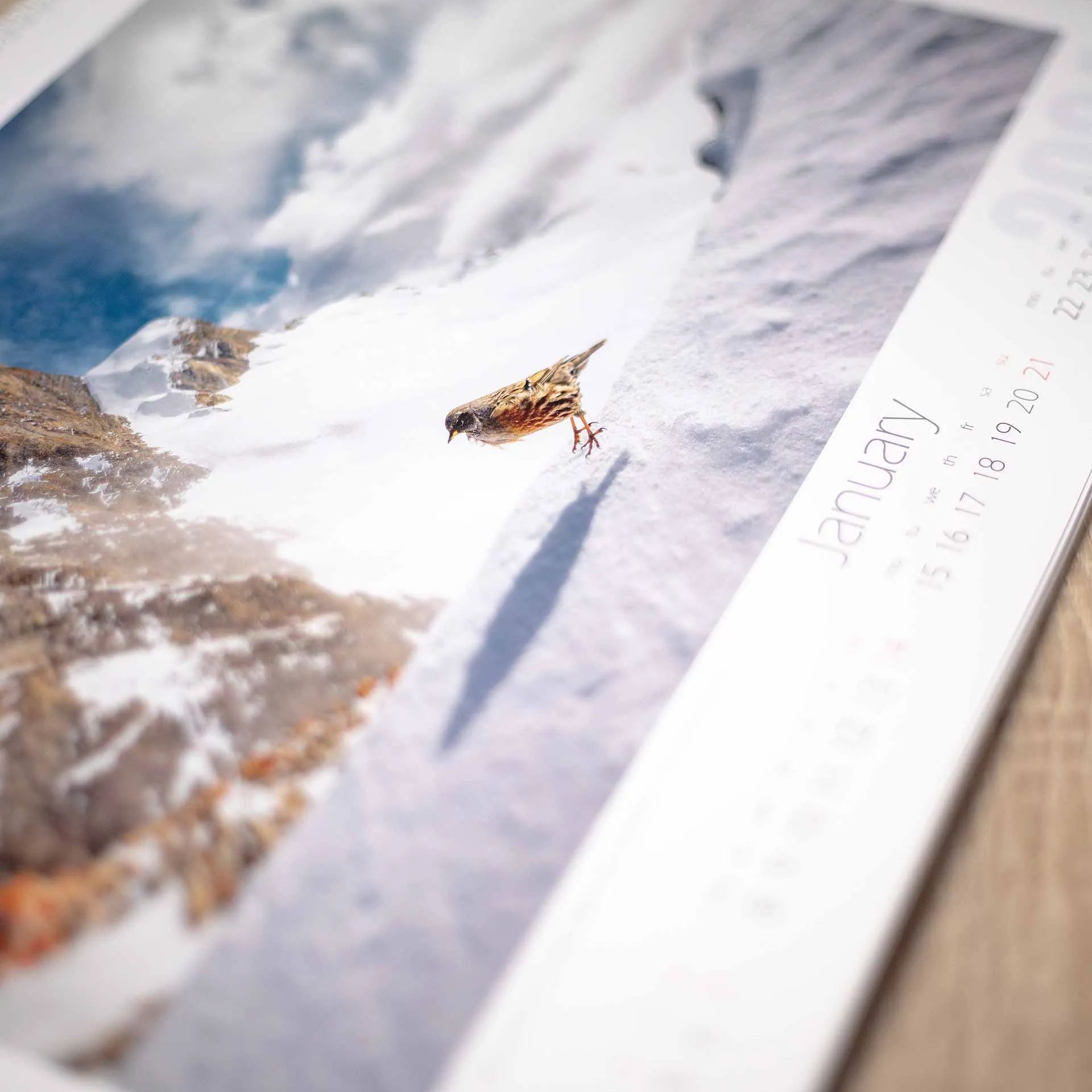 📅Wildlife Calendar 2024