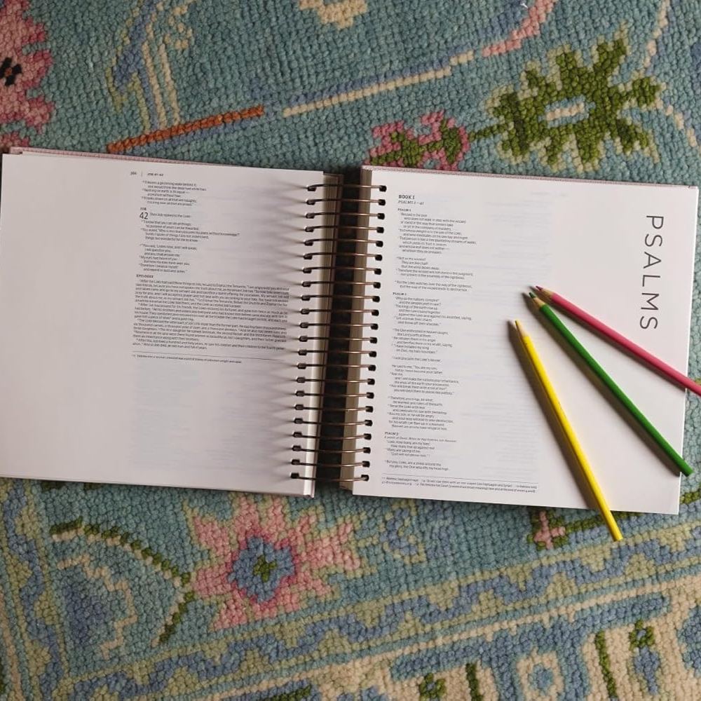 NIV, Spiral-bound Illustrating Bible, Leathersoft Spiral, Pink: Draw, Write, and Reflect Your Way Through Scripture