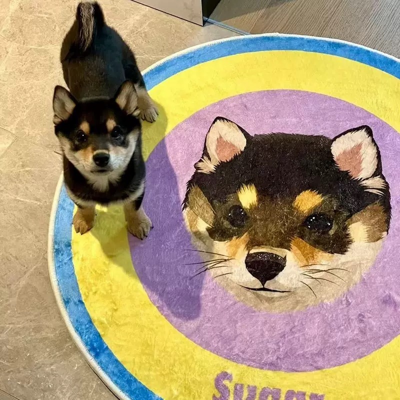 Customized Pet Portrait Round Tufted Rug Cute Furry Baby Flocked Rugs