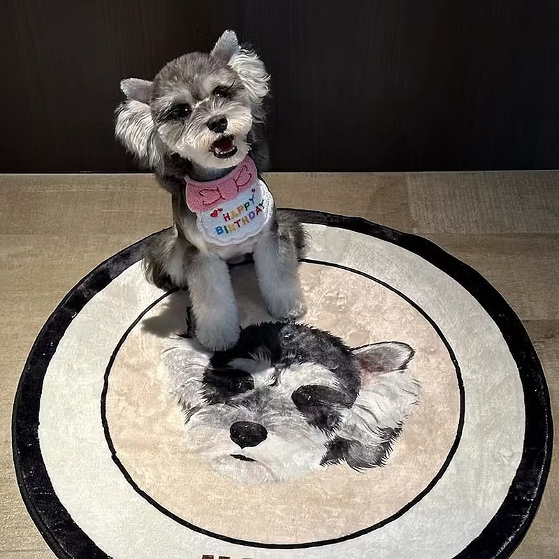 Customized Pet Portrait Round Tufted Rug Cute Furry Baby Flocked Rugs
