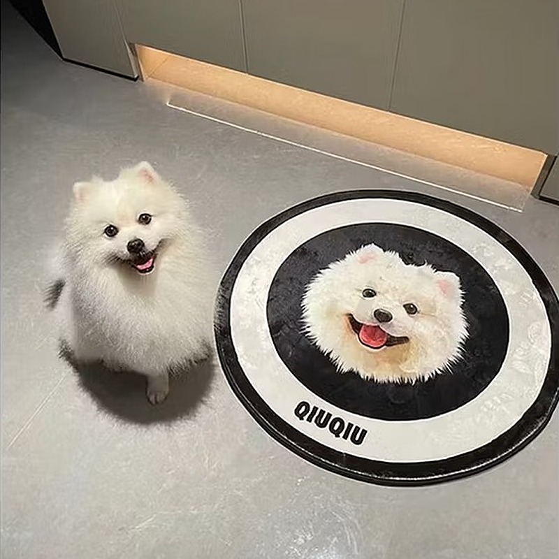 Customized Pet Portrait Round Tufted Rug Cute Furry Baby Flocked Rugs