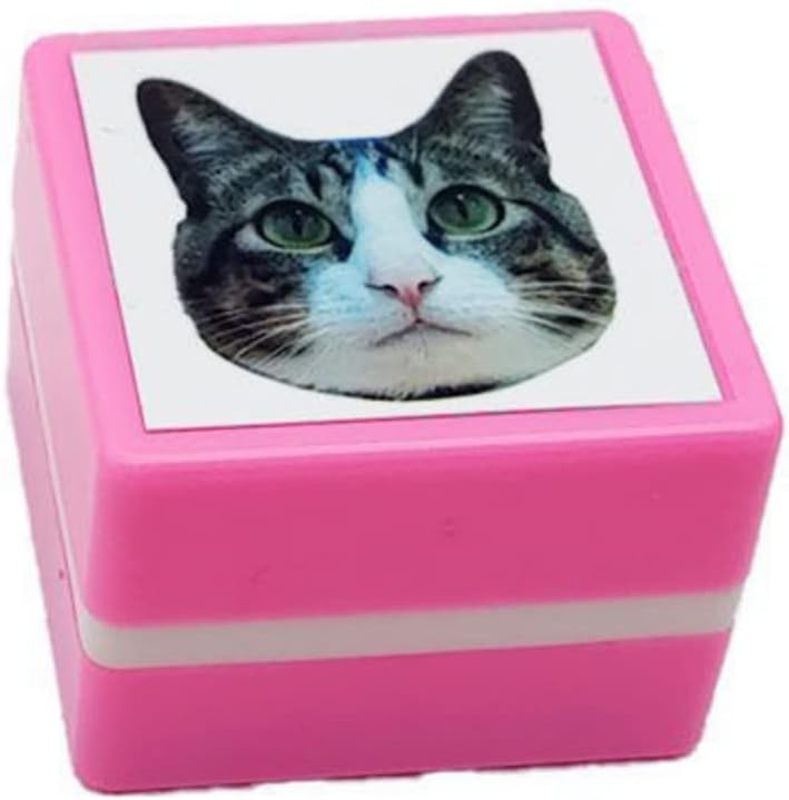 Custom-Made Pet Portrait Stamp DIY For Dog Figure Seal Personalized Cat  Doggy Cuztomized Memento Chapter for Bookkeeping