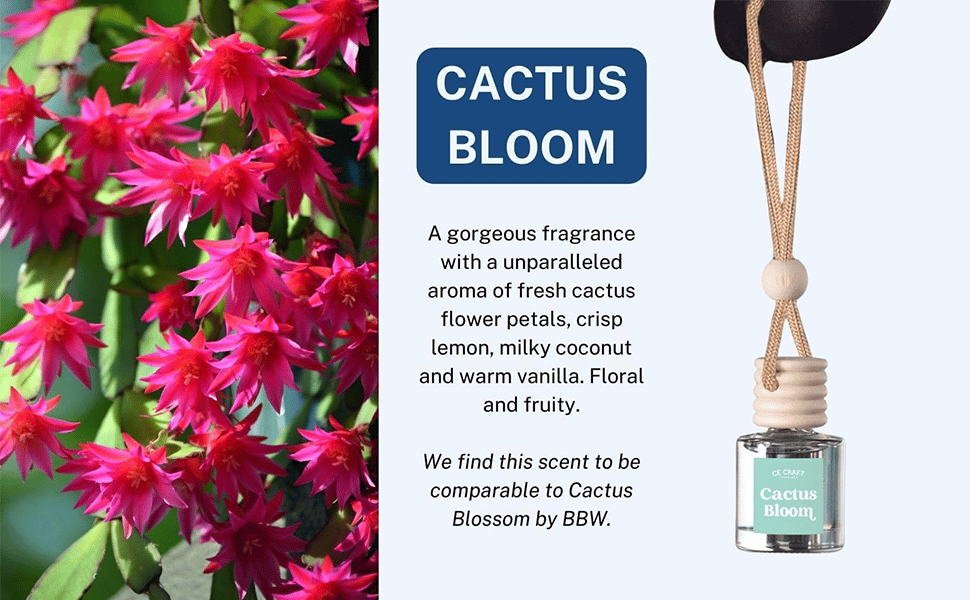 Oils, Scents Fragrance Aromatherapy Automobile Diffuser, Long Lasting Car Diffuser Bottle 2 Pack