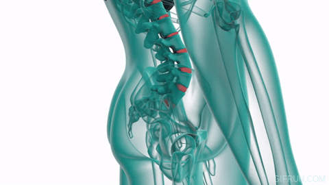 Posture Corrector gif