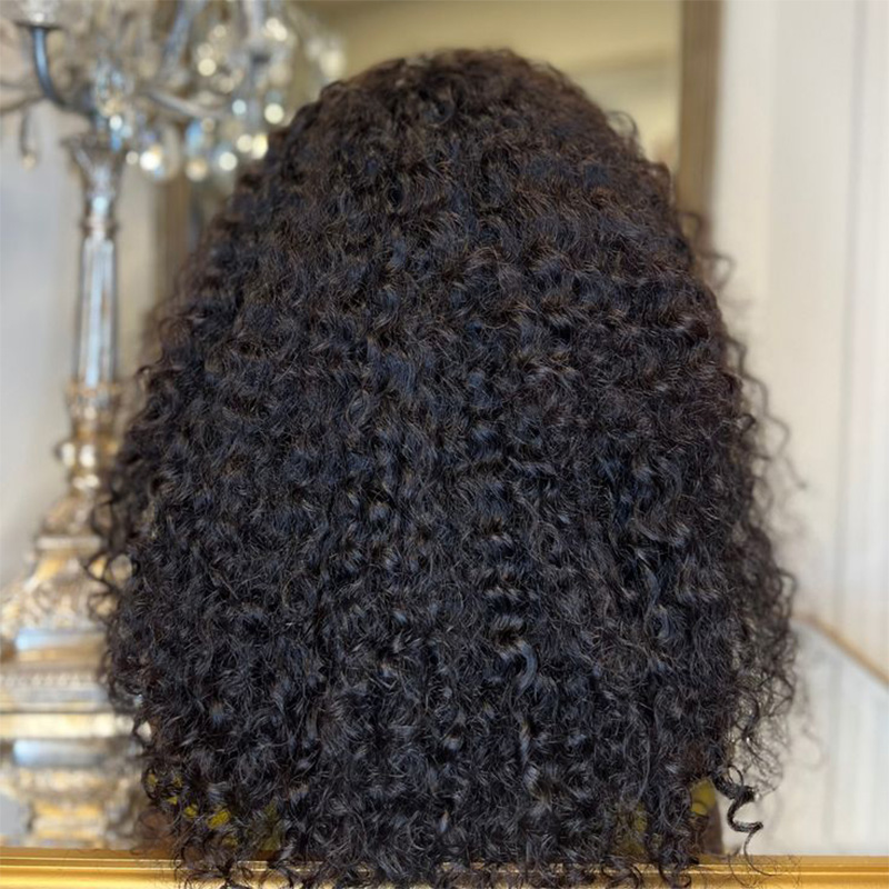 Raw Hair Burmese Curls Wigs 13x4 13x6 Frontal Wig New Fashion