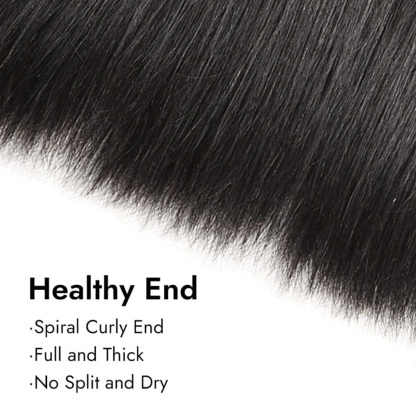 Burmese Hair Straight Hair Bundles