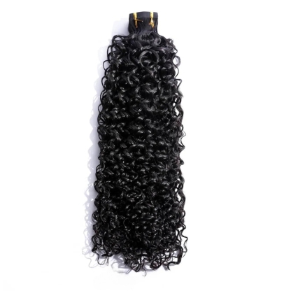 Burmse Hair  Curly Wave Tape-In Extension