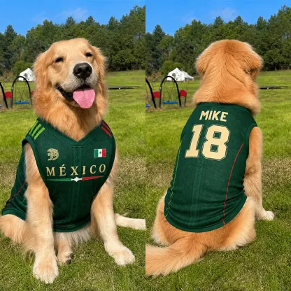 Custom World Cup Football Pet Jersey Collection