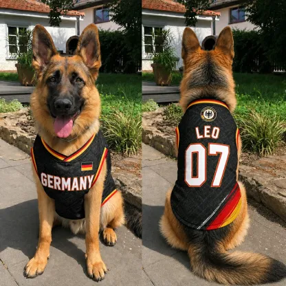 Custom World Cup Football Pet Jersey Collection