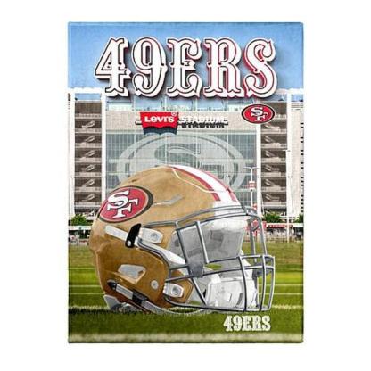 Football Fan NFL Stadium View Throw Blanket