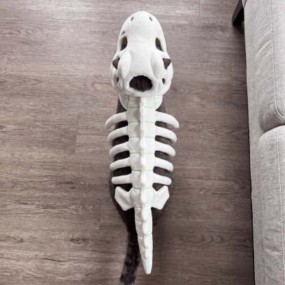 CatSaur Glow-in-the-Dark Dinosaur Skeleton Plush Toy for Dogs & Cats