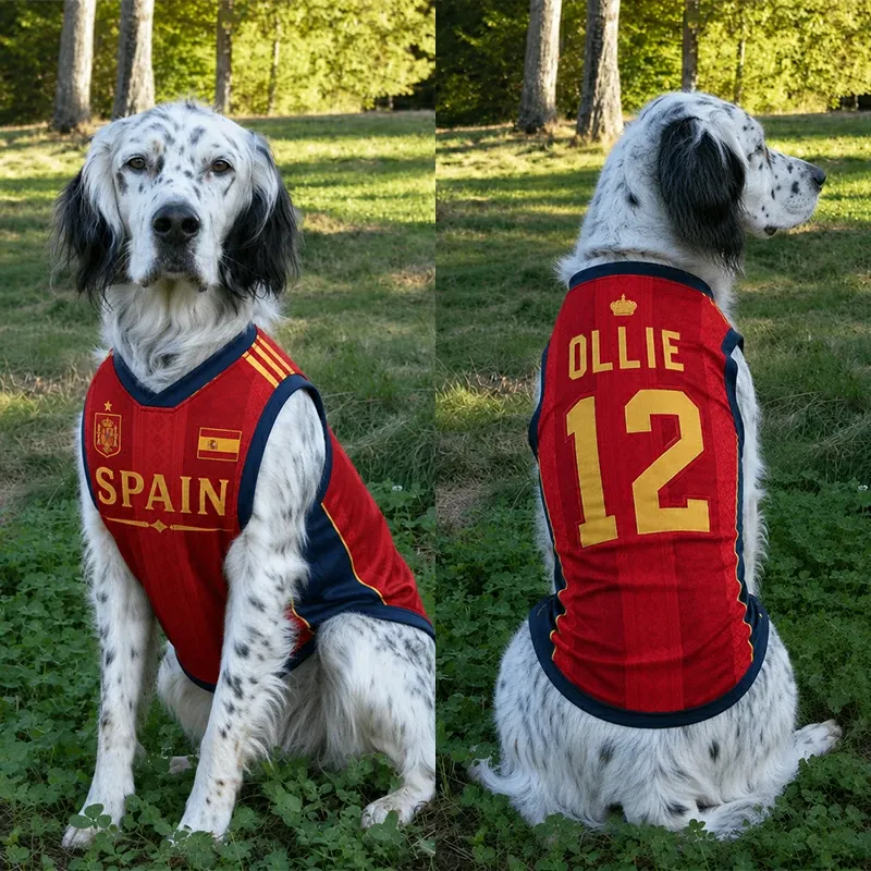 Custom World Cup Football Pet Jersey Collection