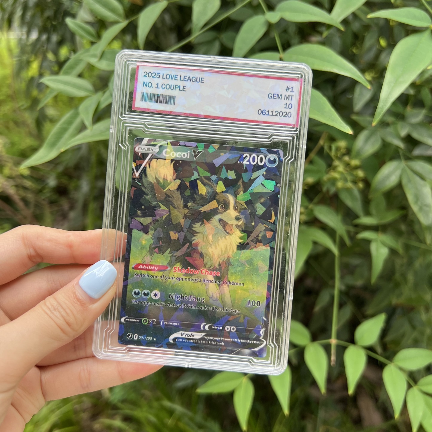 Custom Anime Pet Multiple Attributes Petmon V Card