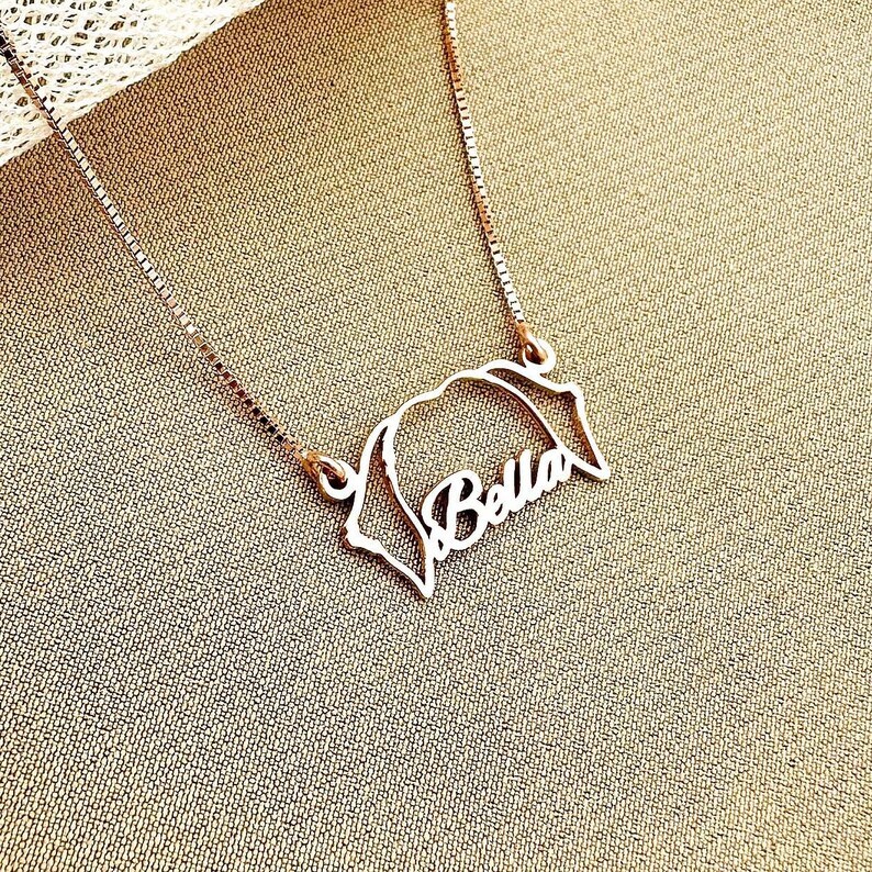 Personalized Pet Head Name Necklace?
