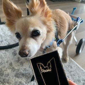 Personalized Pet Head Name Necklace?