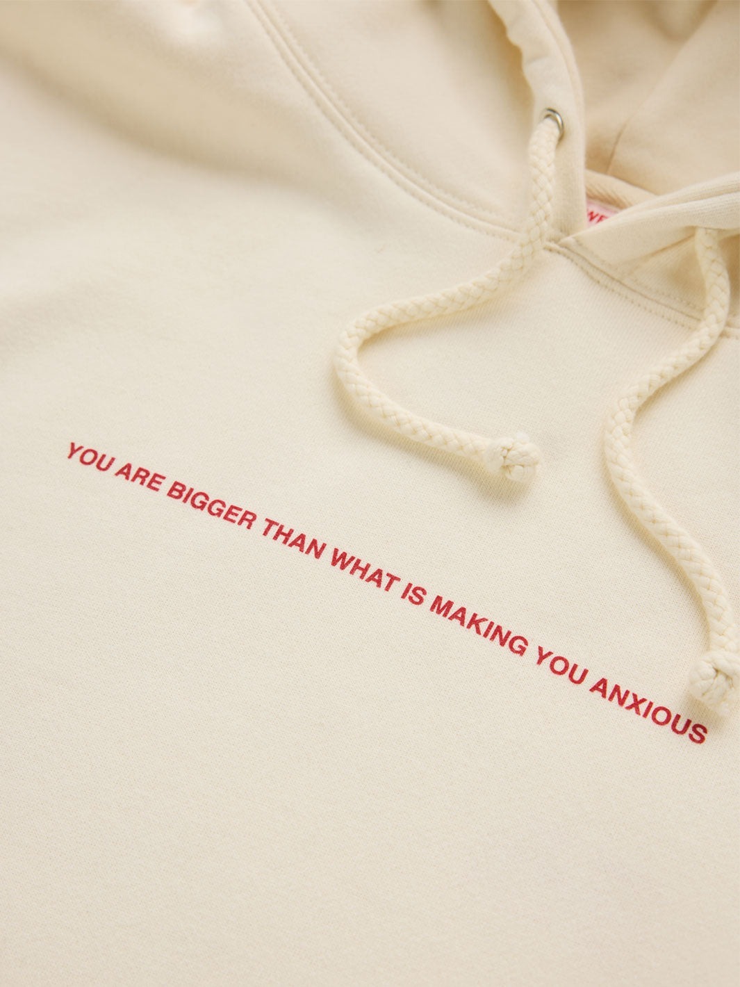Your Anxiety Is Lying To You Crewneck/Hoodie