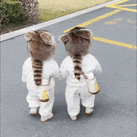 🔥HOT SALE 49% OFF - Handmade Imitation Raccoon Fur Hat