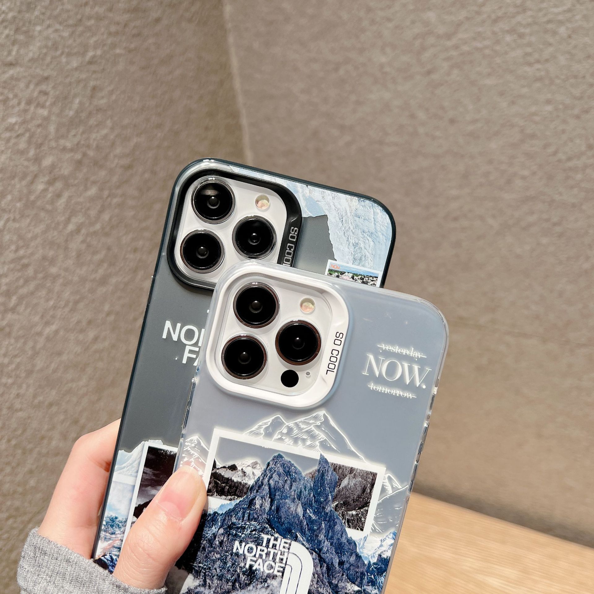 The North Face iPhone Case