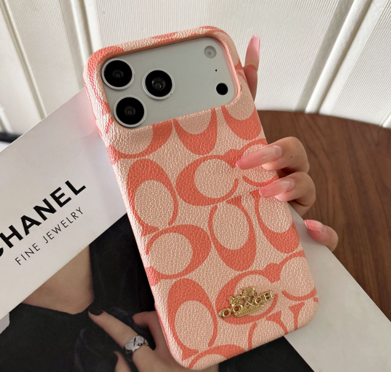 Coach Rainbow Leather iPhone Case