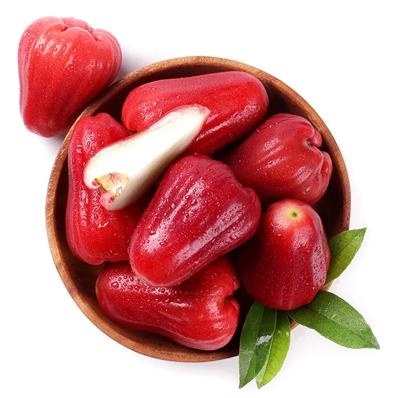 Four-Season Wax Apple Seeds