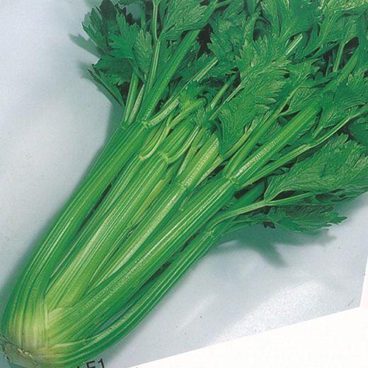 Celery Tango Organic