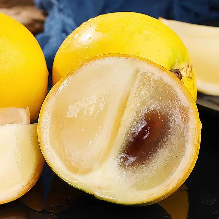 Goldene Fruchtsamen-Abiu Fruit-Pouteria Caimito