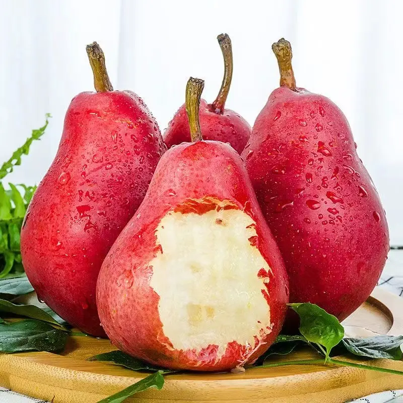 🍐Red Anjou Pear 🍐