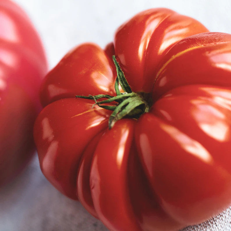 Giant Delicious Tomato / Up to 2kg (20 Seeds a Pack)