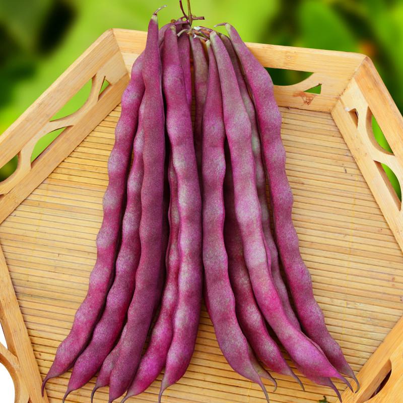 Purple Beans Seeds