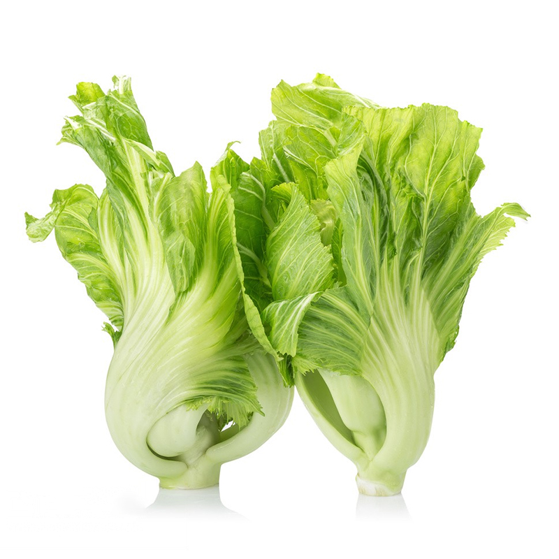 🌱 Giant Bok Choy The Giant of Greens 🌱 Experience the Crunch! Dive