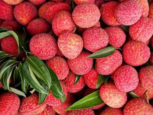 吃不完的荔枝，别再随便放冰箱了，学会2种做法，半个月依然新鲜。