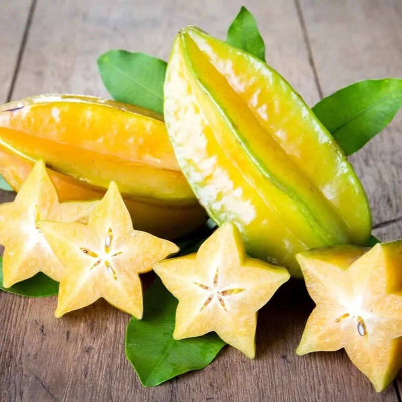 The common name for this is Averrhoa carambola (Star Fruit / Carambola).Other Common name for this  Rare Fruit Species are: Star Fruit / Carambola: Carambola Fruit, Five Pointed Star Fruit. We only sell rare seeds of rare plants.