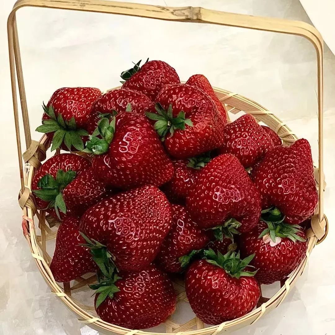 True Red Meiling Strawberries Seeds