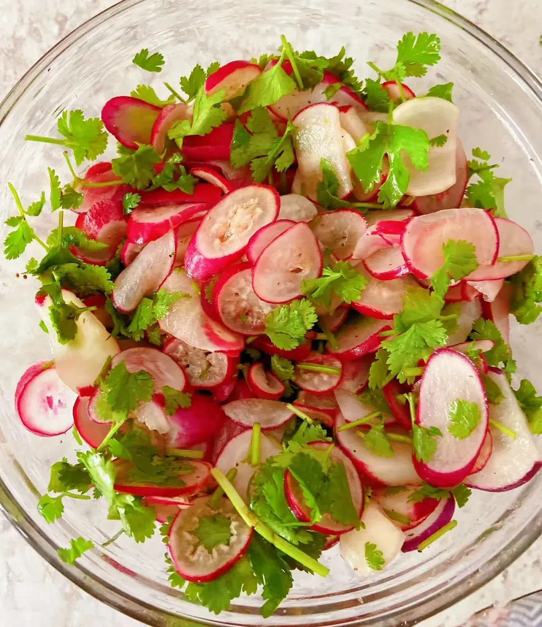 Organic Cherry Radish20 Day Miracle Grow🍒