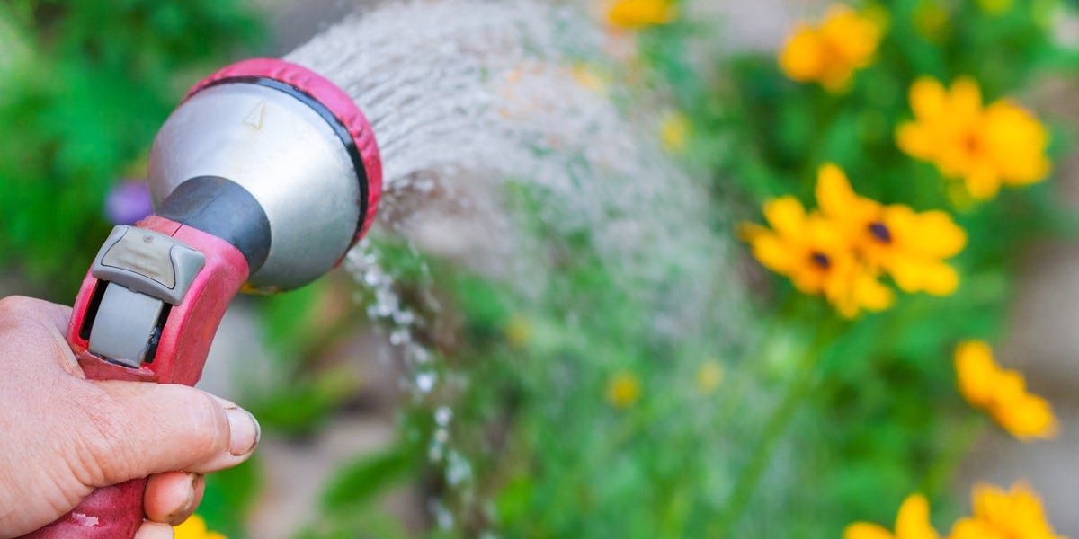 Tilling soil for a wildflower planting