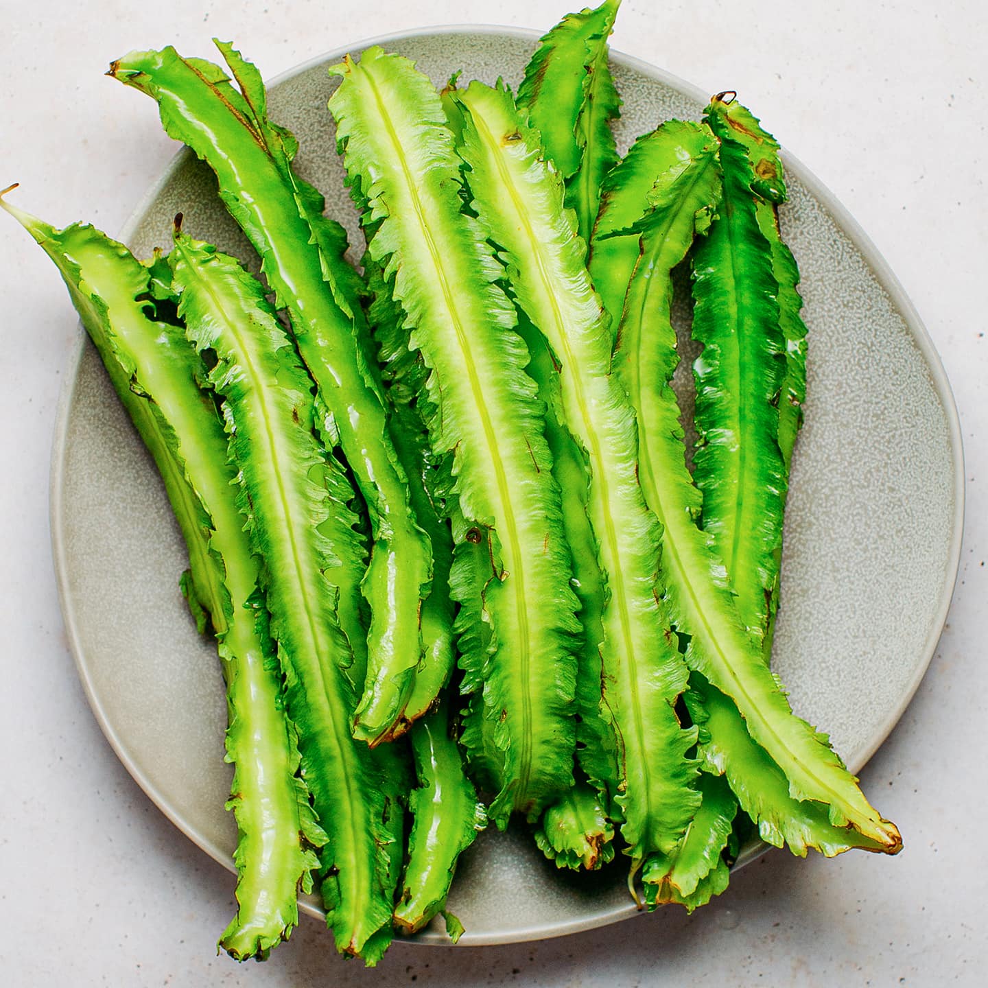 Winged Bean Seeds - The King of Beans 