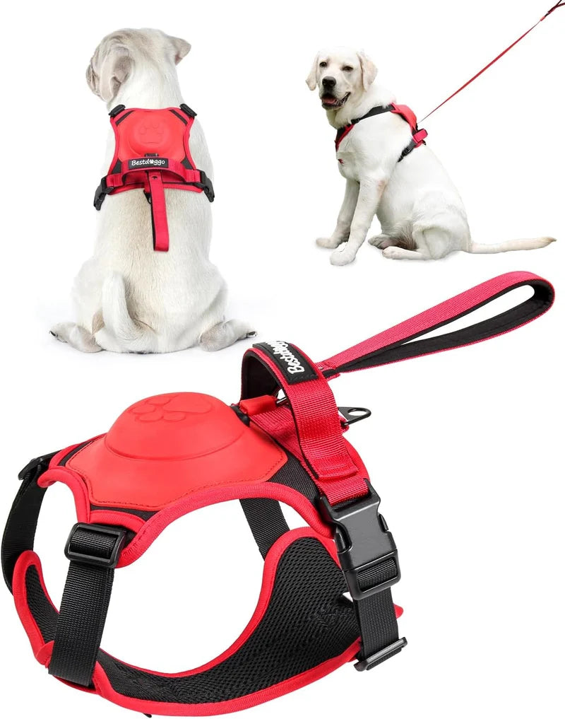 DogDynamics Harnesses