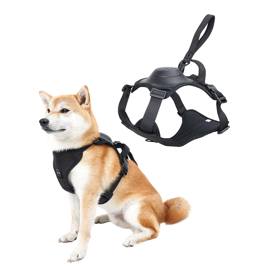 DogDynamics Harnesses