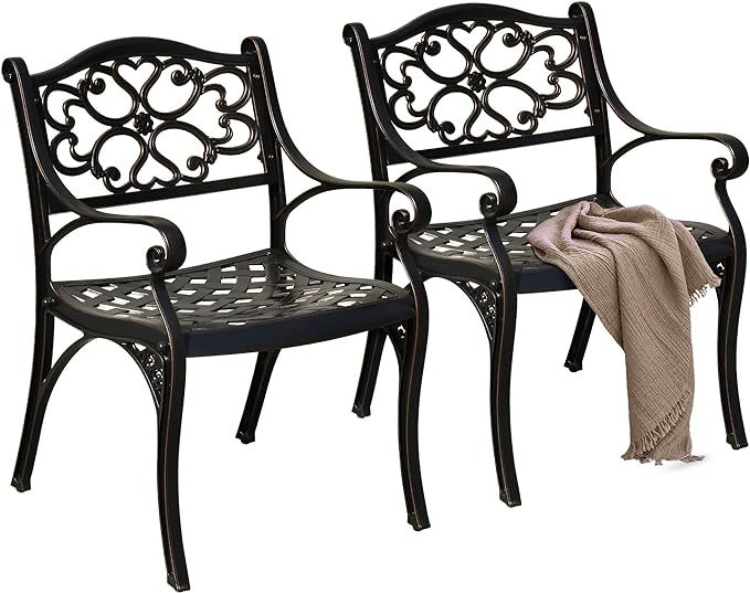Set of 2 Outdoor Cast Aluminum Outdoor Chairs with Armrest