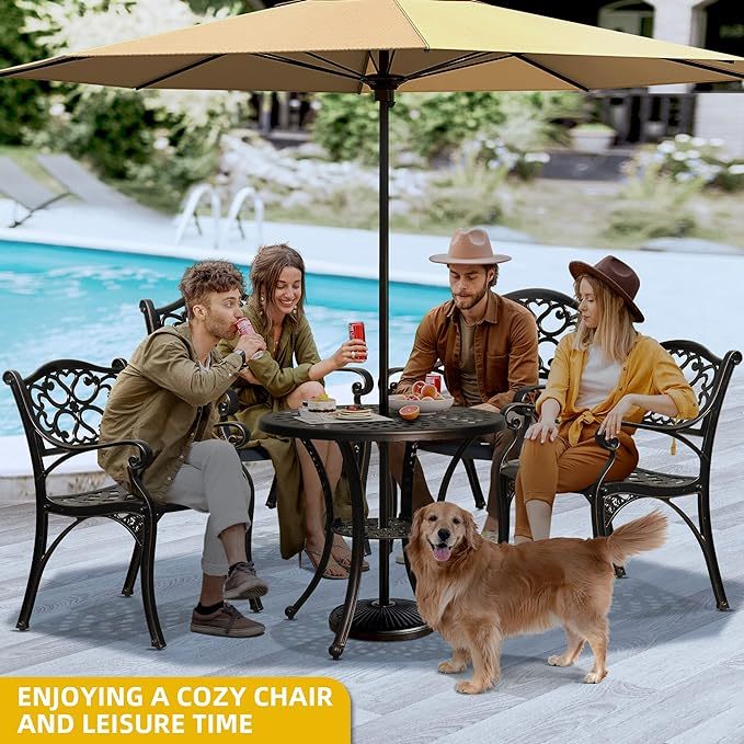 Set of 2 Outdoor Cast Aluminum Outdoor Chairs with Armrest