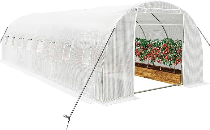 26x10x6.6ft Greenhouse Heavy Duty Large Walk-in Greenhouses Tunnel Green House