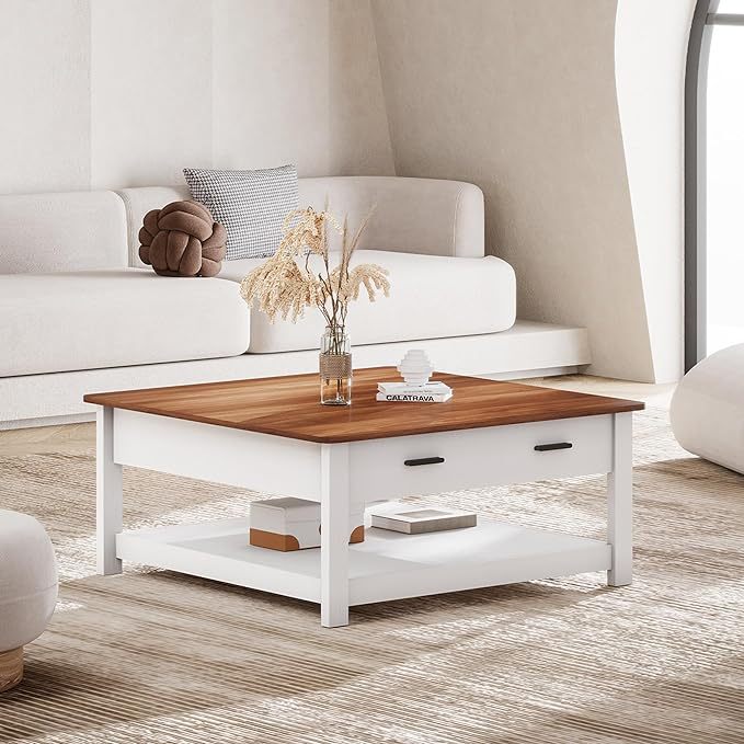 Square Coffee Table with 2 Drawers 2 Tier Shelf Wood Coffee Table