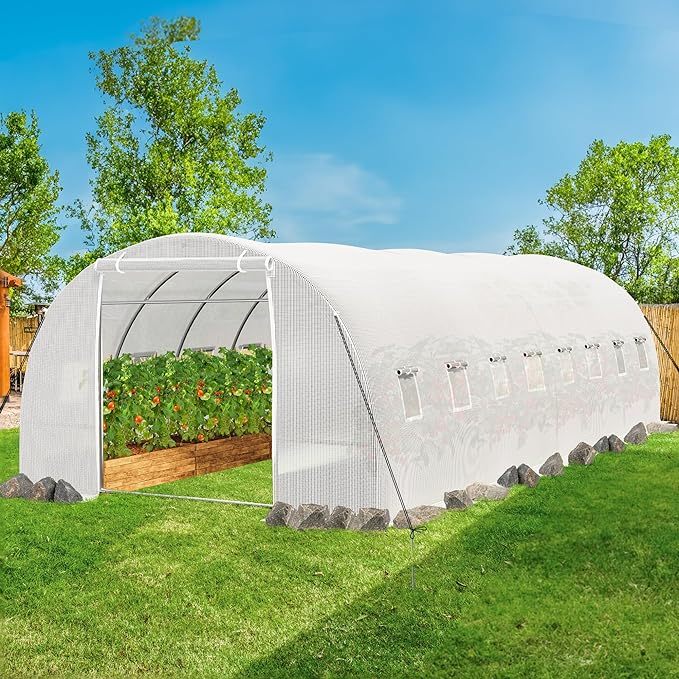 26x10x6.6ft Greenhouse Heavy Duty Large Walk-in Greenhouses Tunnel Green House