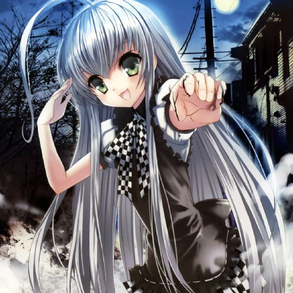 Lots of videos, Lots of images